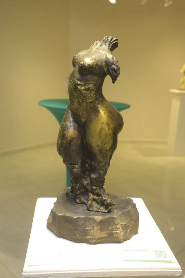 ”Torso femenino”