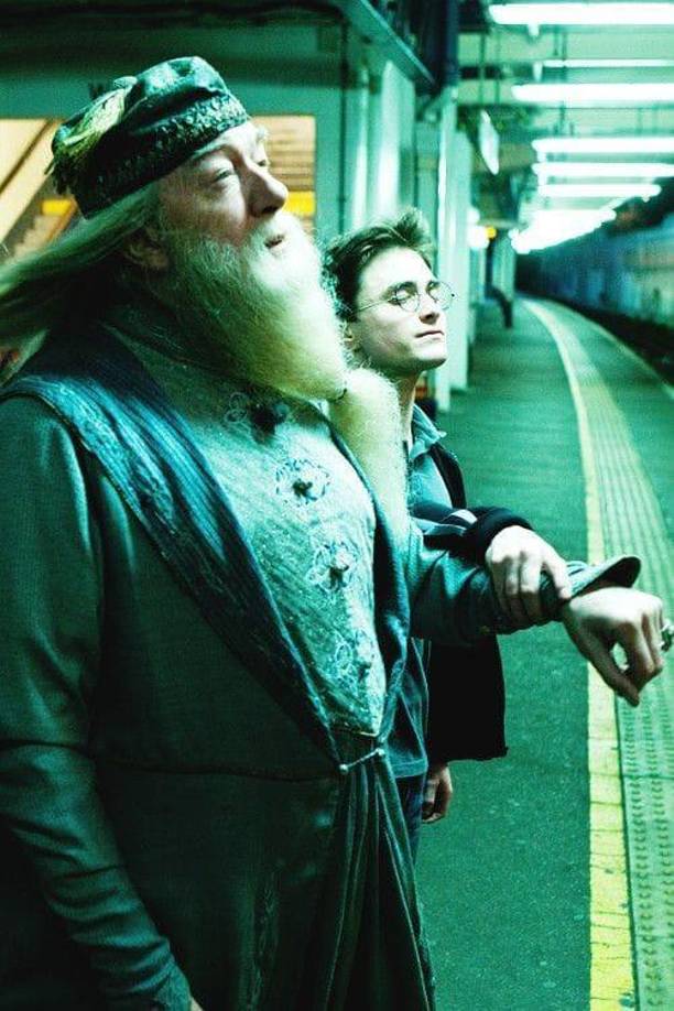 Ganador de cuatro premios Baftas, Gambon es conocido por su extensa carrera de más de cinco décadas en televisión, cine, radio y teatro. Entre otras cosas, por interpretar a Albus Dumbledore en la saga cinematográfica de Harry Potter.