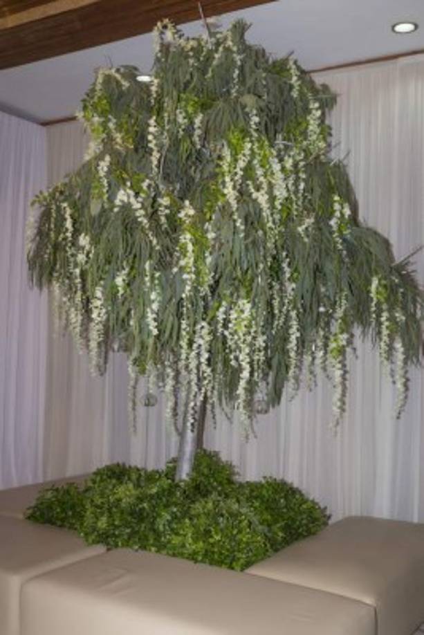 Frondosos árboles con delicadas flores colgantes.