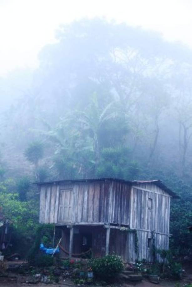 Una casa de madera y el clima frío, una característica de la zona, resalta entre la naturaleza densa.