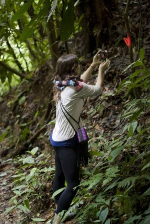“Letreros interpretativos” a lo largo de los senderos ayudan a los visitantes a entender mejor el espeso bosque lleno de vida.