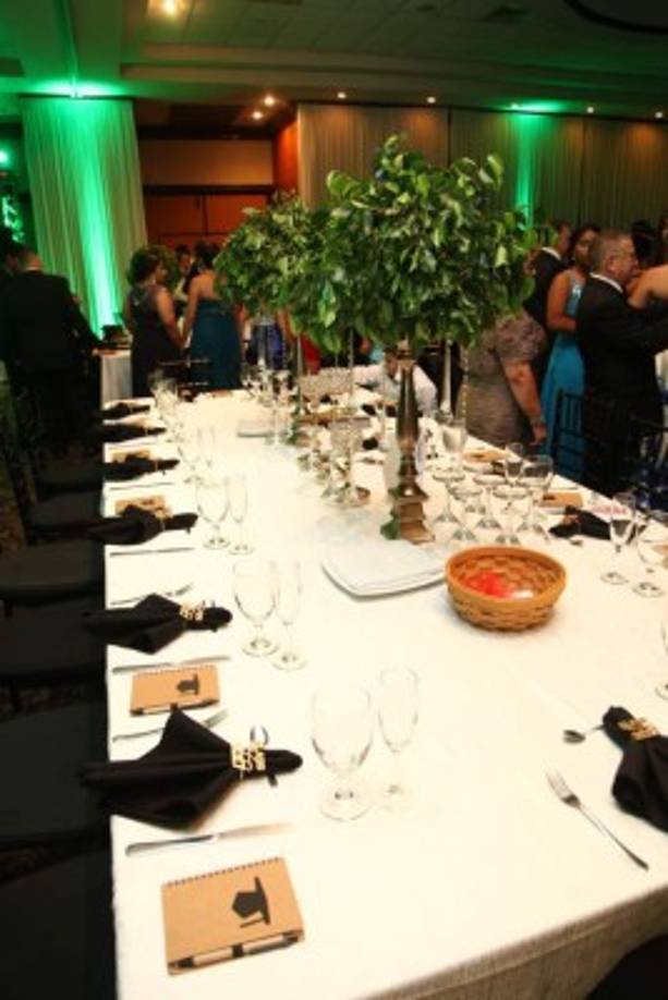 Los arreglos de benjamina ornamentaron la cita.