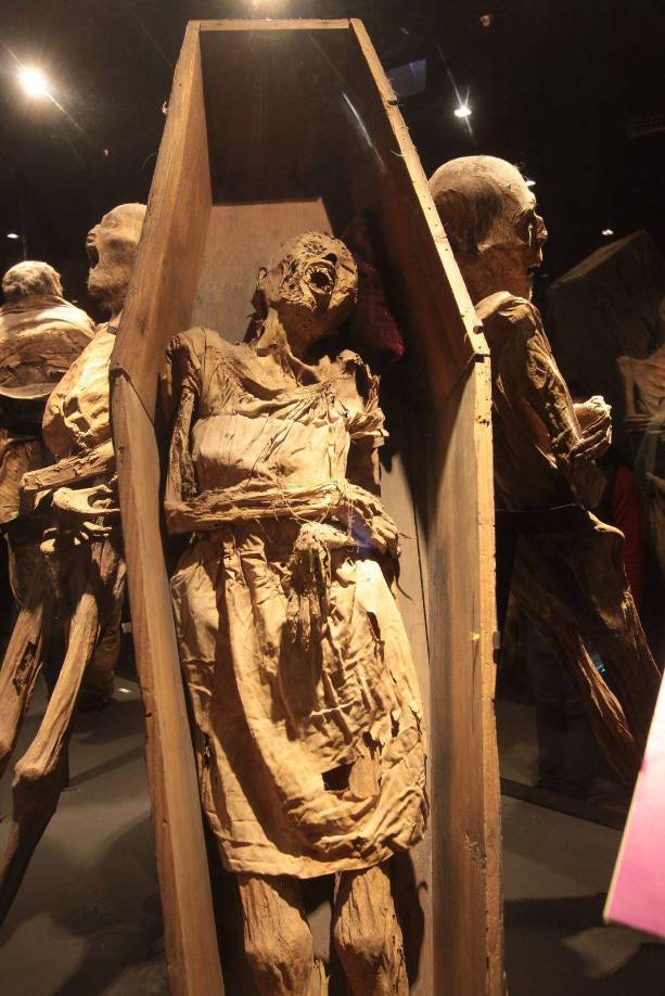 El país de 106 millones de habitantes, en grave crisis económica, cuenta con el sector del turismo (dos millones de empleos y más del 10% del PIB) para mejorar sus finanzas. 