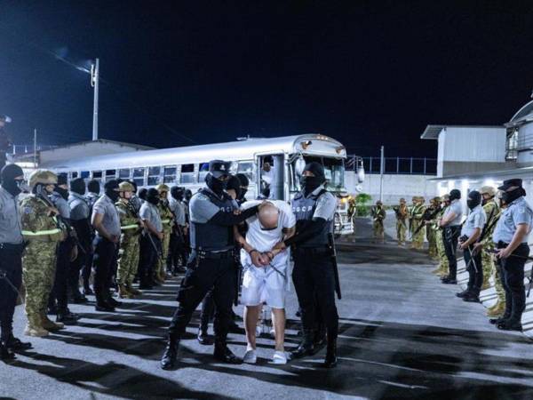 El ICE usa una guía para determinar si los migrantes detenidos son enemigos extranjeros y pueden ser deportados a El Salvador.