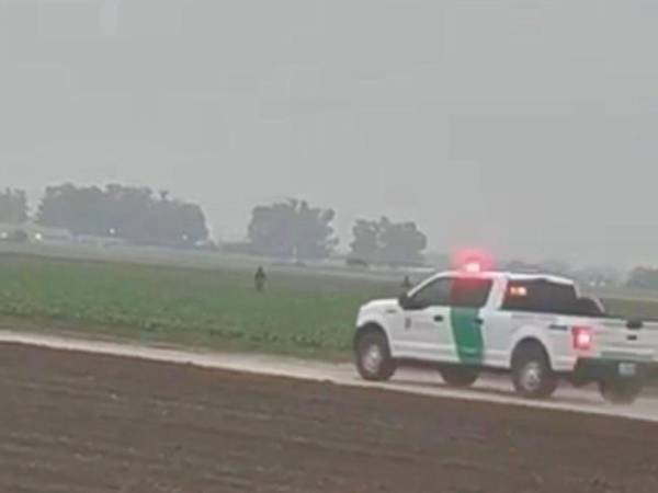 <b>Vehículos de la Patrulla Fronteriza persiguen a los inmigrantes en medio de los sembradíos en una granja de Oxnard.</b>