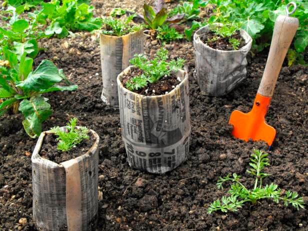 Consejos para limpiar una freidora de aire