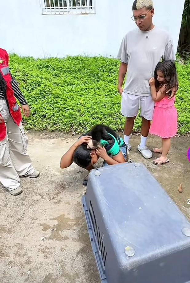 Las autoridades del Instituto de Conservación Forestal llegaron a la residencia de Supremo, donde se encontraba su mascota, el mono “Manolo”.