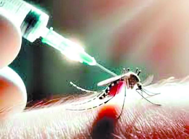 Honduras recibe 53,000 dosis de la vacuna contra el dengue