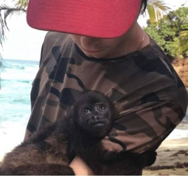 Dylan Douglas compartió esta foto con un adorable mono.