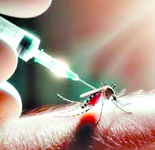 Vacuna Tak-003 solo debe aplicarse a quienes se hayan enfermado