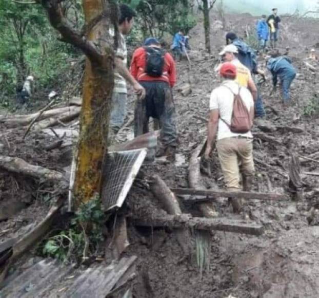 La negativa del Gobierno que preside el exguerrillero sandinista Daniel Ortega a reconocer los muertos causados por los ciclones este año ya había quedado documentada al negar que el Eta dejó tres muertos, que fueron documentados por diversas organizaciones, incluyendo la Cruz Roja Nicaragüense.