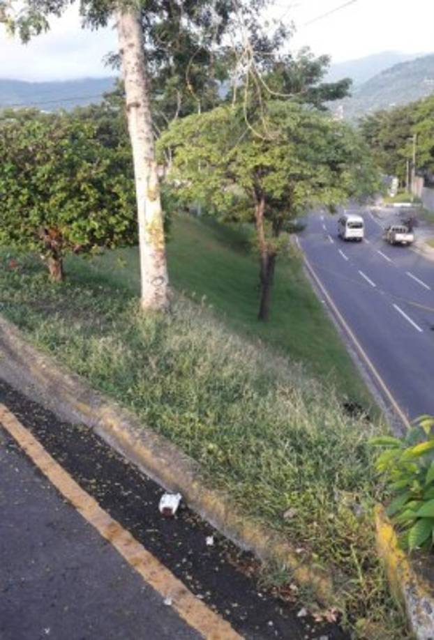 Mientras que dos de sus acompañantes resultaron gravemente heridos y fueron llevados a diferentes centros asistenciales.