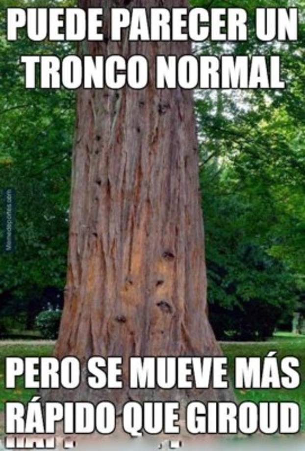 Giroud ha sido víctima de los memes, el delantero del Arsenal no se vio nada bien ante Alemania.