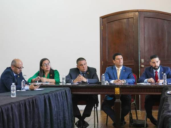 En la reunión participaron miembros de la Fundación Luz y Vida (Funluvi) y la Asociación de Pacientes Renales de Honduras (Aprendeh).