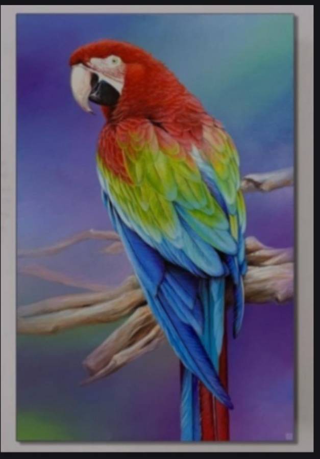 Primera Expoventa de Arte por el Club Rotaract de Choloma