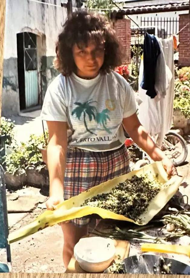 Su principal rival, la senadora de origen indígena y candidata de una coalición de los partidos tradicionales PRI, PAN y PRD, Xóchitl <b>Gálvez</b>, marcha segunda en la intención de voto.