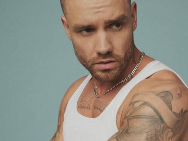 “Es como si toda la carrera musical de Liam que había construido desde que se lanzó como solista hace ocho años se estuviera desmoronando, le quedaba muy poco”, dijo una fuente al Daily Mail.