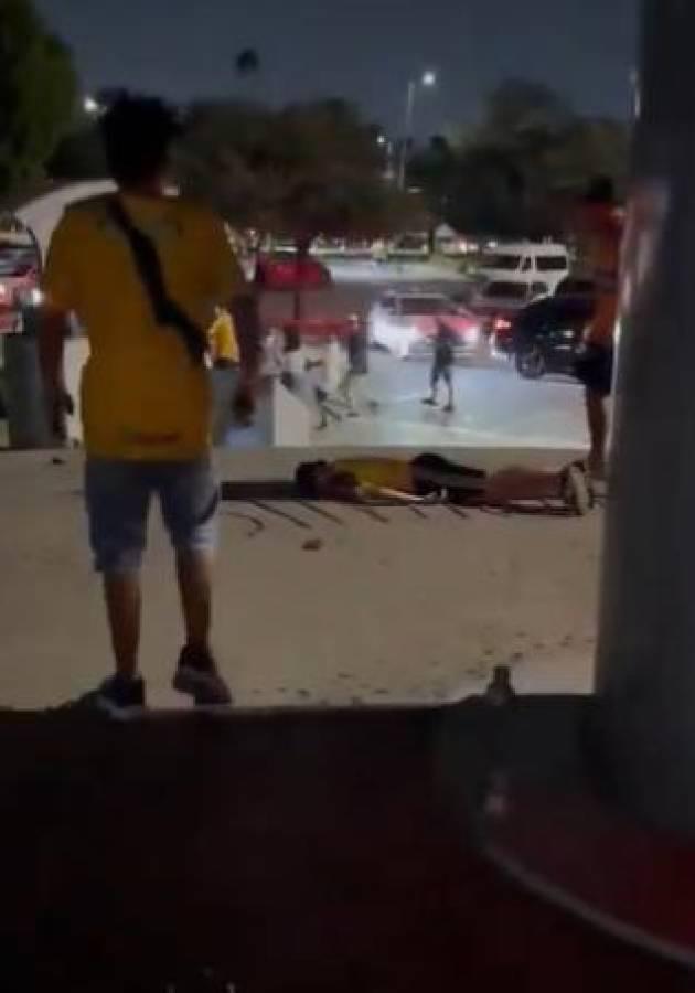 Tremenda pelea tras la victoria del América sobre Tigres; Liga MX lanza comunicado