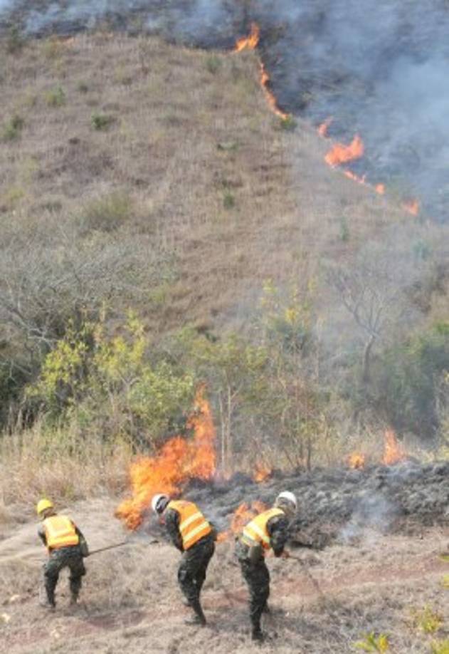 Las autoridades ofrecen una recompensa de 250 mil para quien de información sobre los responsables de este incendio.