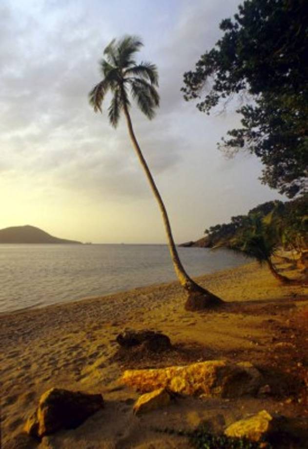 Cayos Cochinos se ubica a 40 kilómetros al noreste de La Ceiba. No solo es el mar, sus arrecifes y playas son sus mayores atractivos. También la vida cultural de sus habitantes de la etnia garífuna.