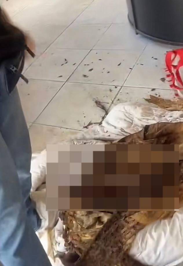 Medios de comunicación y personas presentes presenciaron el momento exacto en el que Mildred dejó caer los huesos del cadáver de su hija, envuelto en una sábana.