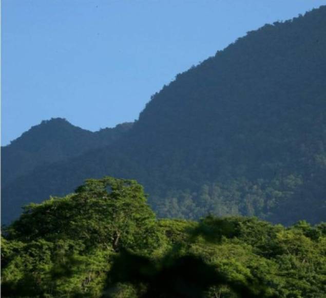 La sierra de Agalta es una formación montañosa en el departamento de Olancho. Está bordeada por el río Guayape por un flanco y el río Grande por el otro. La sierra abunda en cuevas y cascadas formadas por los más de 200 ríos y arroyos que fluyen por sus laterales. Foto Honduras Tips.