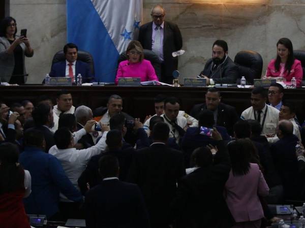 La sesión del martes hubo un conato de enfrentamiento en la cámara legislativa.