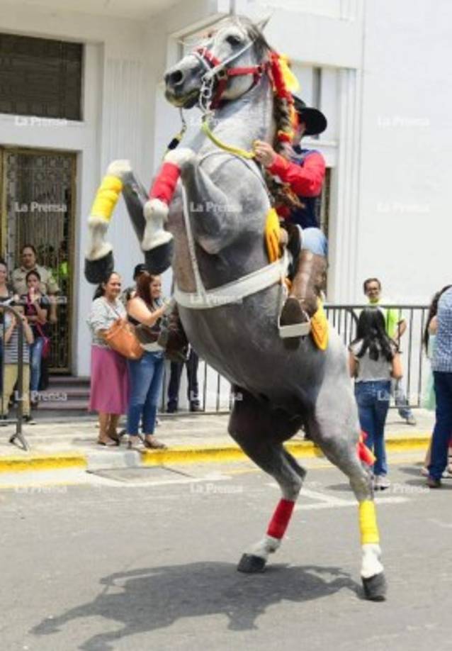 Con el eslogan 'Somos el corazón de la feria', se inauguró la 53 exposición ganadera, agrícola, comercial e industrial Agas 2019.
