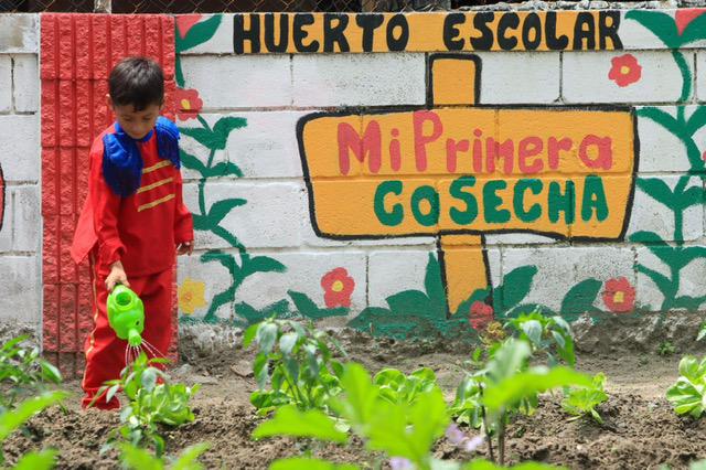 Huertos escolares, un programa municipal que enseña a cultivar con creatividad