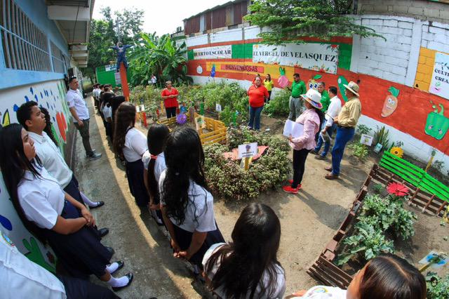 Huertos escolares, un programa municipal que enseña a cultivar con creatividad