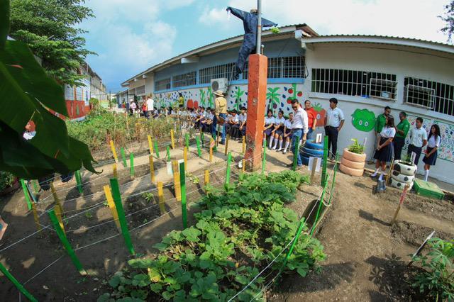 Huertos escolares, un programa municipal que enseña a cultivar con creatividad
