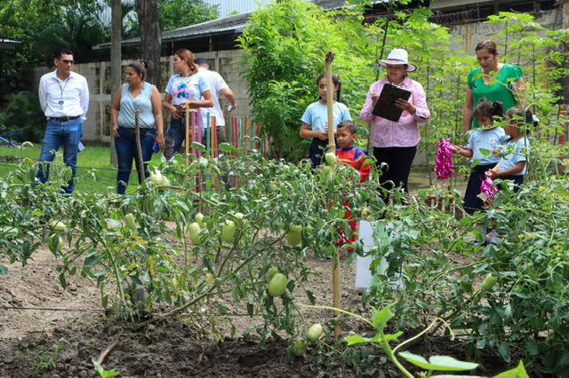 Huertos escolares, un programa municipal que enseña a cultivar con creatividad