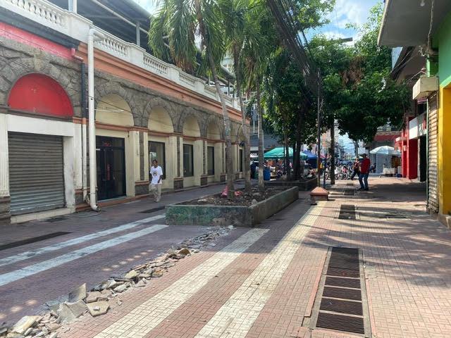 Así luce hoy la peatonal que se convertirá en “Paseo Los Zorzales”