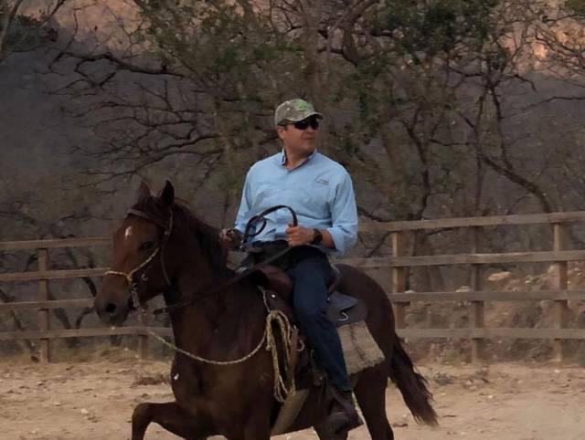 Familia Hernández podría demandar tras polémica venta de caballos de Juan Orlando
