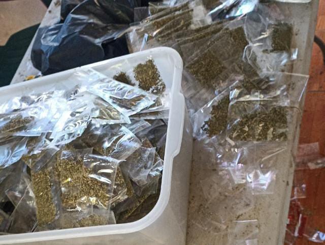 Decomisan marihuana valorada en L300,000 en San Pedro Sula