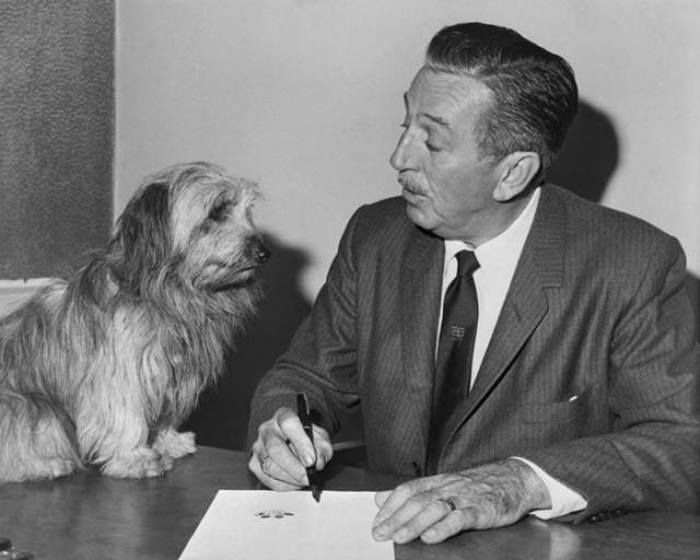 Pluto, la mascota de Mickey Mouse, fue el fiel amigo de Walt Disney