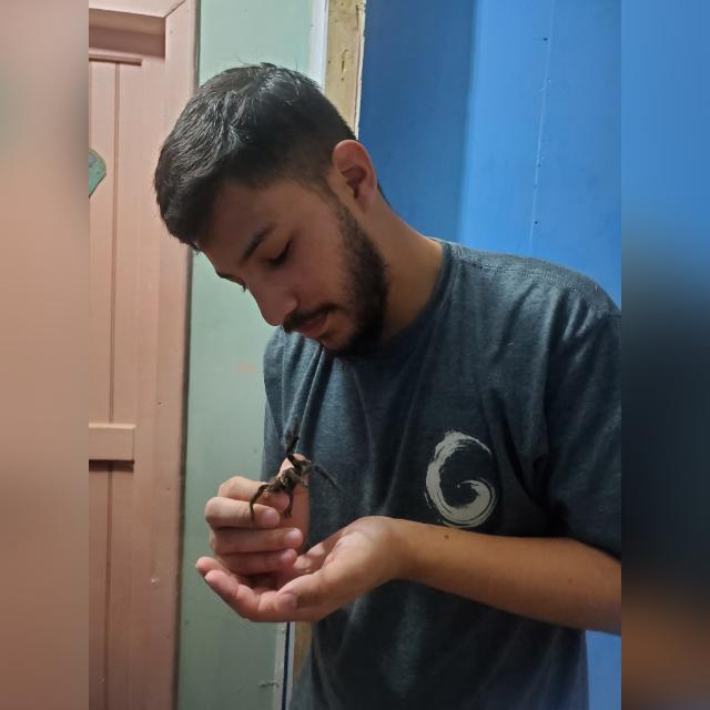 La Unah informó que Cubas fue acreedor de una beca internacional y viajó a Sudamérica, parte de Asia y Australia para revisar diversas colecciones de arácnidos.