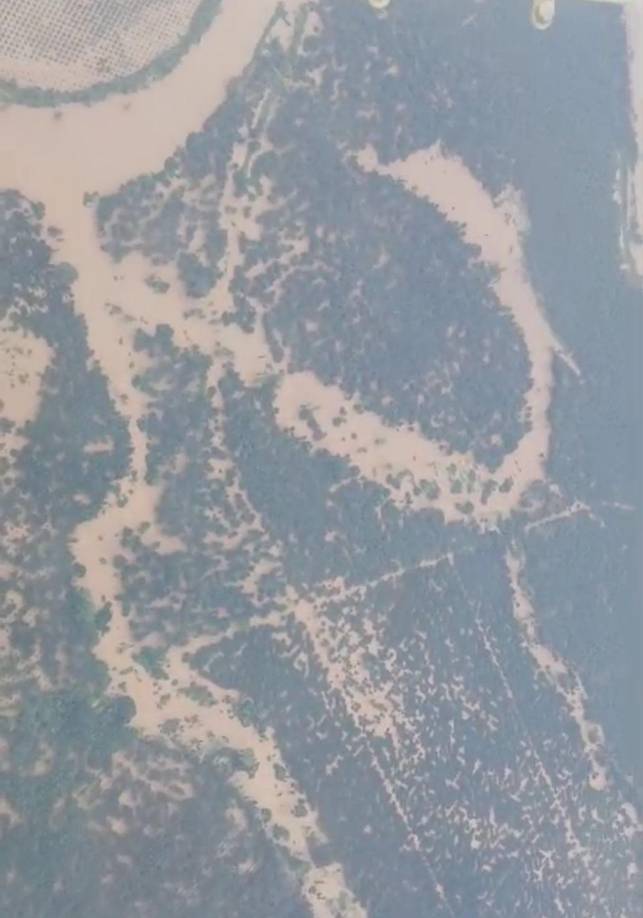 Sara ha revivido la tragedia que sufrió Honduras en la primera quincena de noviembre de 2020, por las tormentas Eta e Iota, que dejaron un centenar de muertos y cuantiosos daños materiales en todo el país centroamericano, que es uno de los más altamente vulnerables a desastres naturales en el mundo.