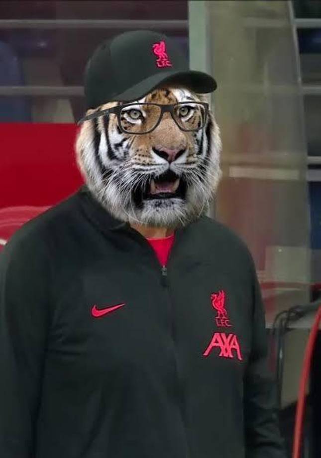 El conjunto dirigido por Klopp no pudo reaccionar y el Real Madrid terminó remontando el partido.