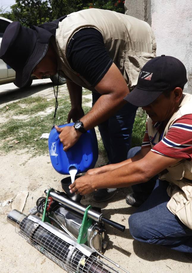 Y fumigar las viviendas.