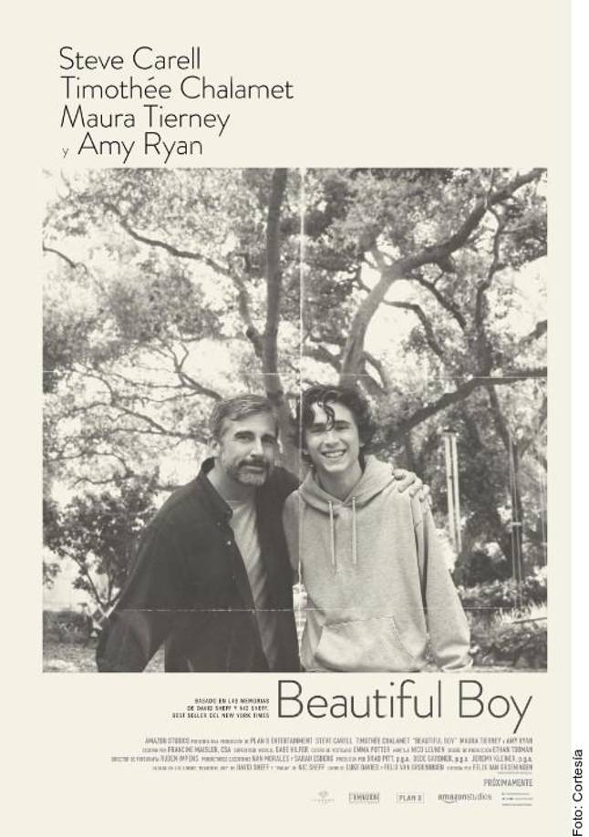 BEAUTIFUL BOY: Siempre serás mi hijoPlataformas: Prime Video y HBO MAXAño: 2018Duración: 2 hrsSteve Carell interpreta a un padre de familia que tiene que lidiar con el problema de adicción de su hijo, interpretado por Timothée Chalamet. Basada en una historia de la vida real.