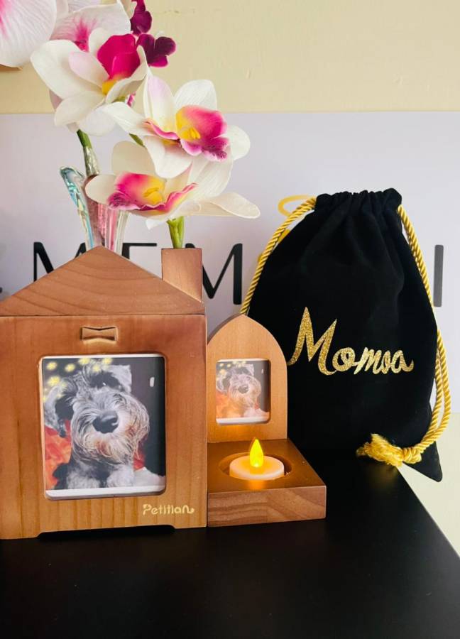 Día Internacional del perro: lindas ideas para consentir a tu peludo