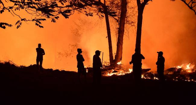Honduras pierde cada año entre 50.000 y 60.000 hectáreas a causa de la tala ilegal y las llamas, en su mayoría provocadas por el hombre.
