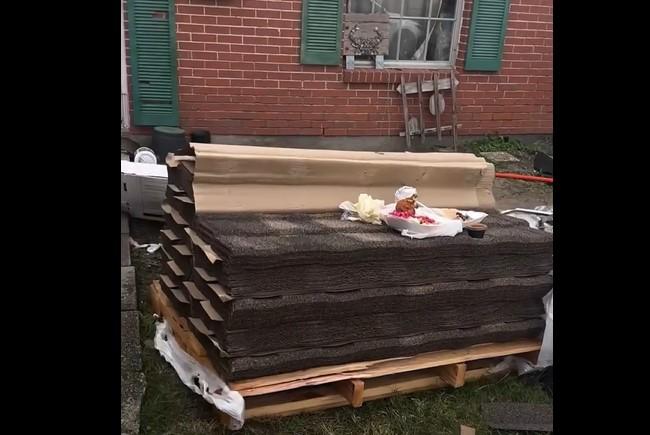 Hondureños acorralados por la Patrulla Fronteriza en Luisiana mientras almorzaban