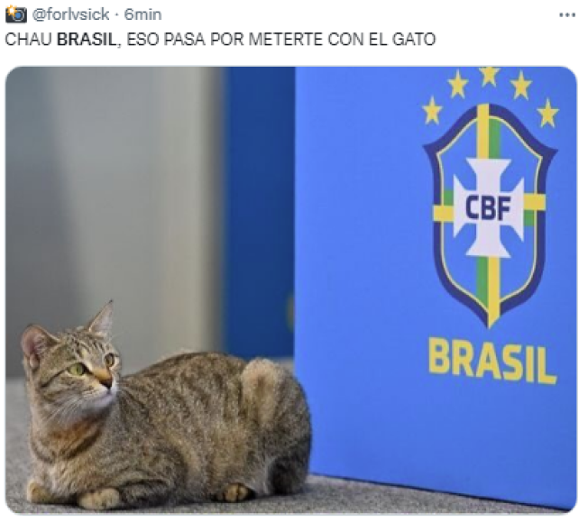 Los memes destrozan a Brasil tras eliminación: “La maldición del gato”