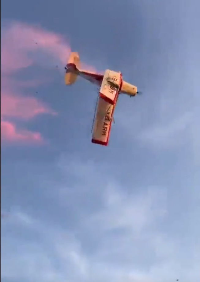 El piloto habría sido contratado para hacer una acrobacia y revelar el sexo de una bebé en un evento privado.