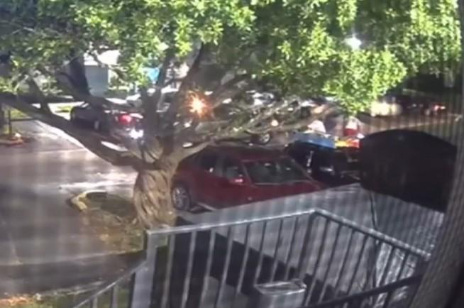 Octavia sacó un arma y todo se salió de control; su muerte tiene en shock a Lauderhill, Florida