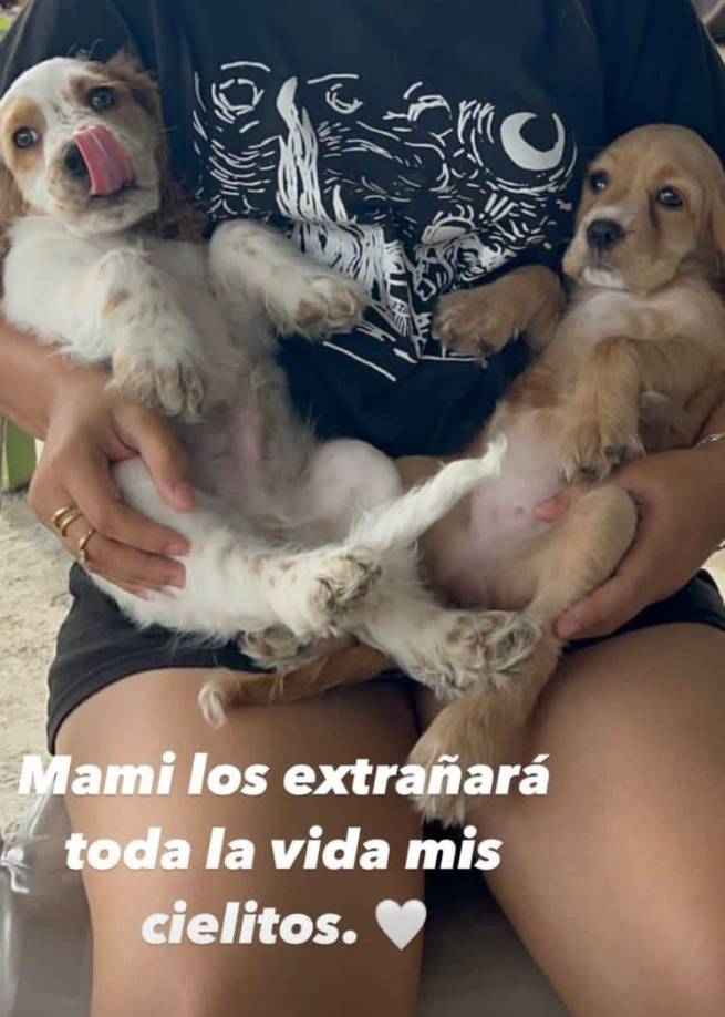 La artista se despidió de sus mascotas en redes sociales. 