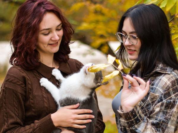 Tener varios animales de compañía puede aportar beneficios tanto para los animales como para las personas: mejora la socialización y la actividad física, por ejemplo de perros y gatos, y se asocia con efectos físicos y emocionales que van desde menor estrés hasta mejoras en indicadores como la presión arterial y la frecuencia cardíaca de sus tutores, según los Institutos Nacionales de Salud de Estados Unidos (NIH).