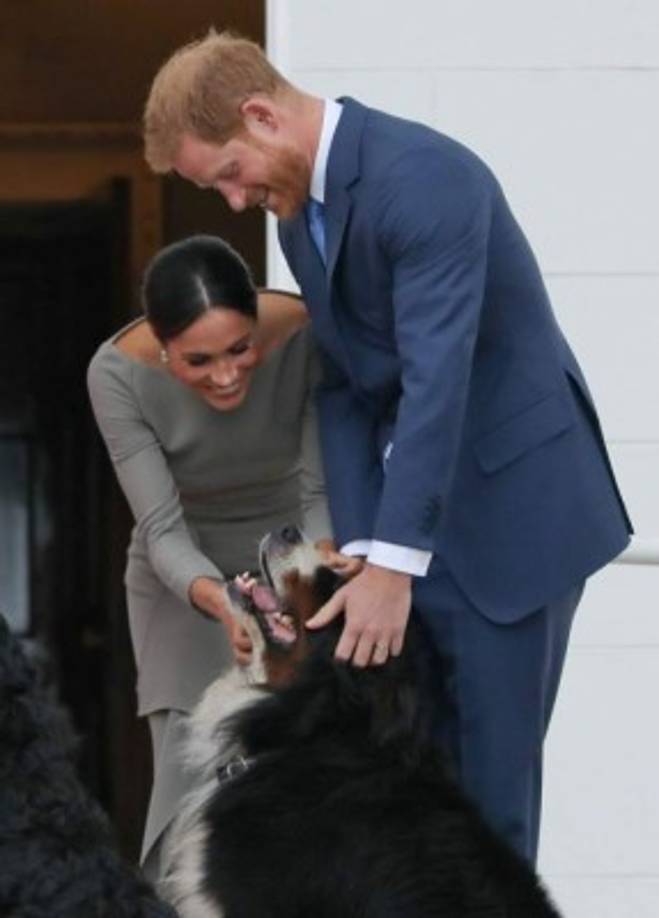 Una reportera de la cadena de la CBS, Lisa Petrillo compartió una imagen de una mujer muy parecida a Meghan Markle paseando a su perro, que de ser cierta revelaría que además de ser una amante de los caninos, la ex actriz es también una comprometida 'madre perruna'.<br/>